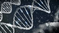 Genetics is considered to be the root cause of PCOS. (Image via Unsplash/Sangharsh Lohakare)
